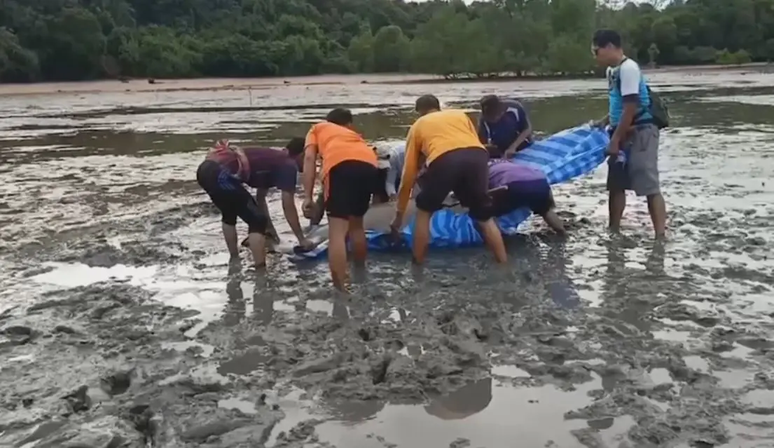 เปิดนาทีชีวิต ชาวบ้านช่วย "พะยูน" เกยตื้นริมหาด พากลับสู่ทะเลปลอดภัย (คลิป)