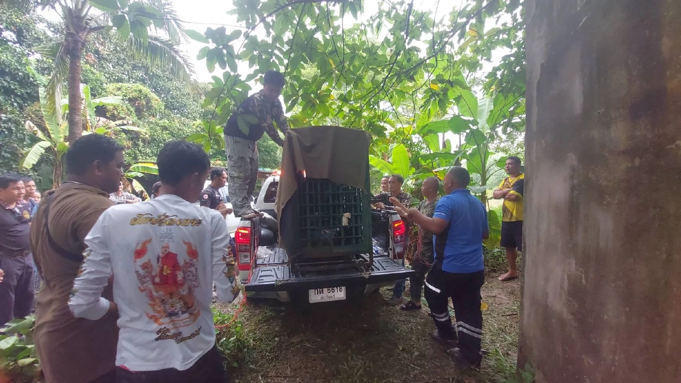 “หมีควาย” อาละวาด บุกบ้านทุ่งยาว เปิดตู้เย็น กวาดไส้กรอก-ผลไม้ กินเรียบ