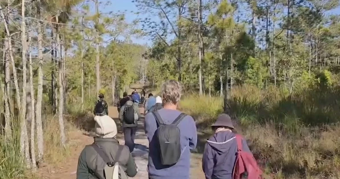 เปิดแล้ว! การท่องเที่ยว-พักค้างแรม บนยอด "ภูกระดึง" นทท.ขึ้นพิชิต สุดคึกคัก (คลิป)