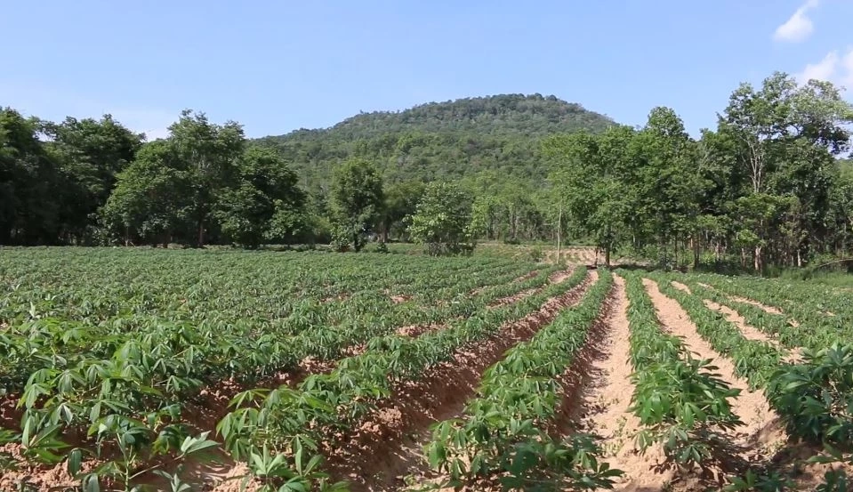 ย้อนอ่าน 3 ปี 5 เดือน ปริศนาการตาย "น้องชมพู่" ก่อนศาลเลื่อนอ่านคำพิพากษา