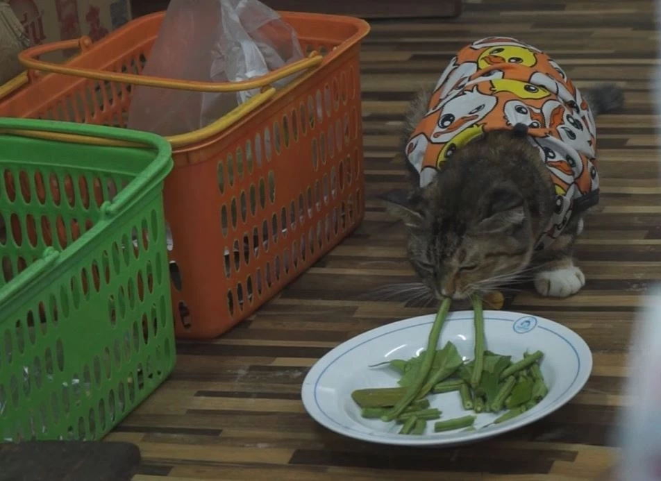 น้องถุงเงิน