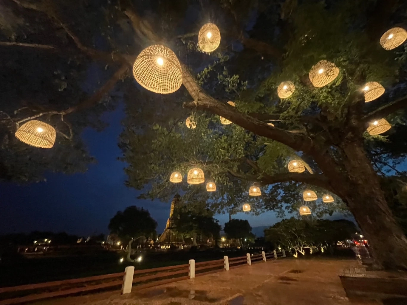 กรมศิลปากรจัด 'ราตรีนี้...ที่วัดไชยฯ' ชวนแต่งชุดไทย ชมแสงไฟยามค่ำ