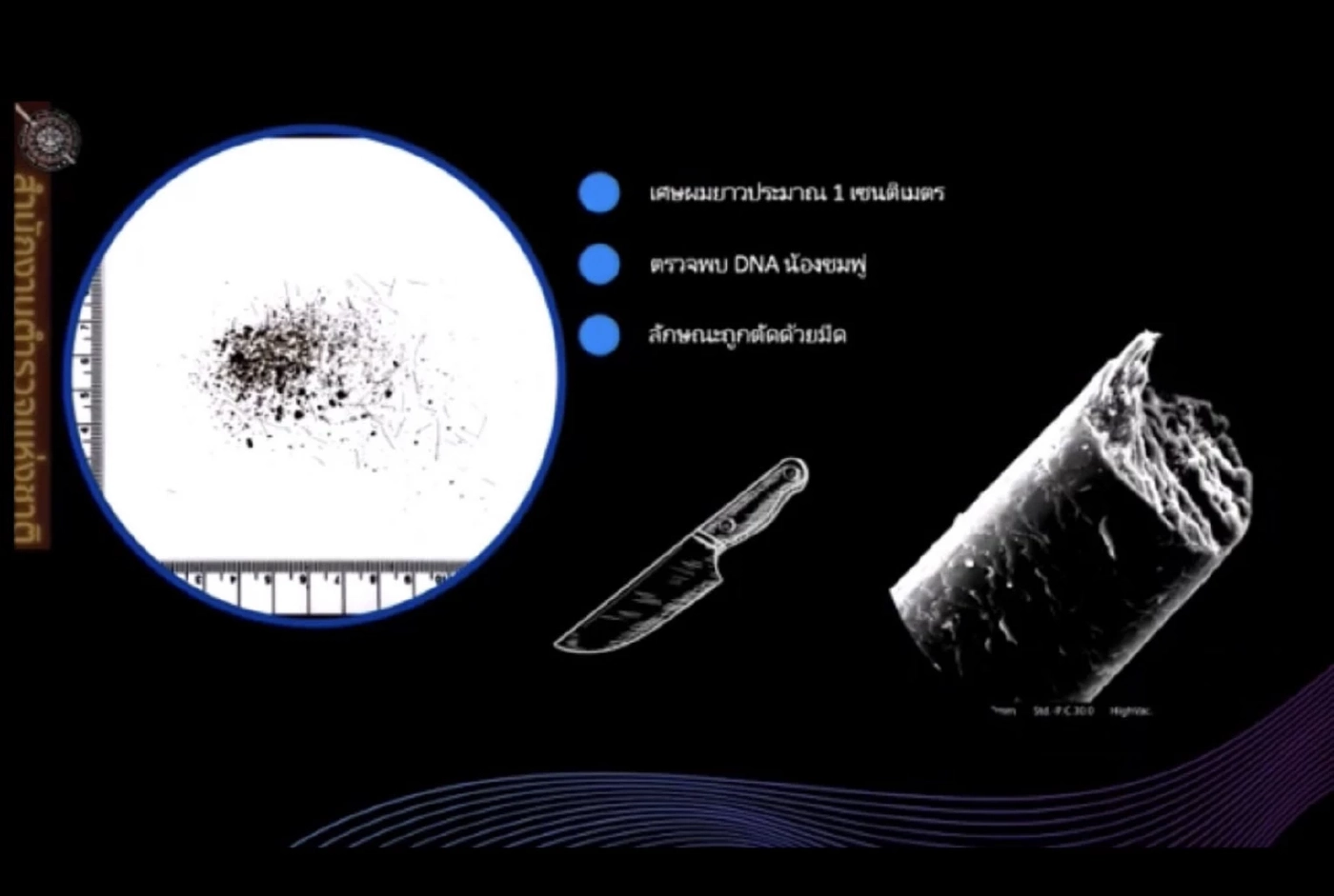 ข้อมูลจาก presentation การแถลงข่าวของคณะพนักงานสอบสวนคดีน้องชมพู่  : 2 ตุลาคม 2563