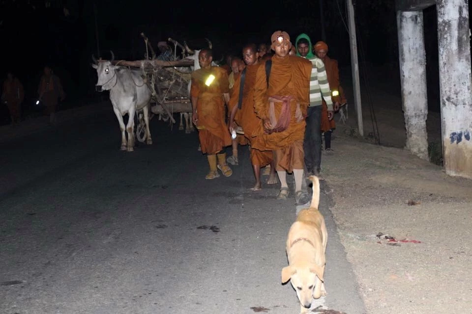 สุดเศร้า "เจ้าโส" สุนัขหัวใจพุทธ ลาลับกลับสู่ดาวหมา ในวัยเพียง 10 ปีเศษ