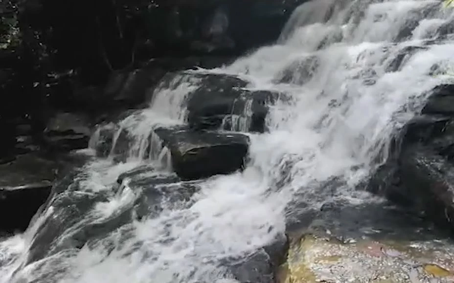 เปิดแล้ว! การท่องเที่ยว-พักค้างแรม บนยอด "ภูกระดึง" นทท.ขึ้นพิชิต สุดคึกคัก (คลิป)