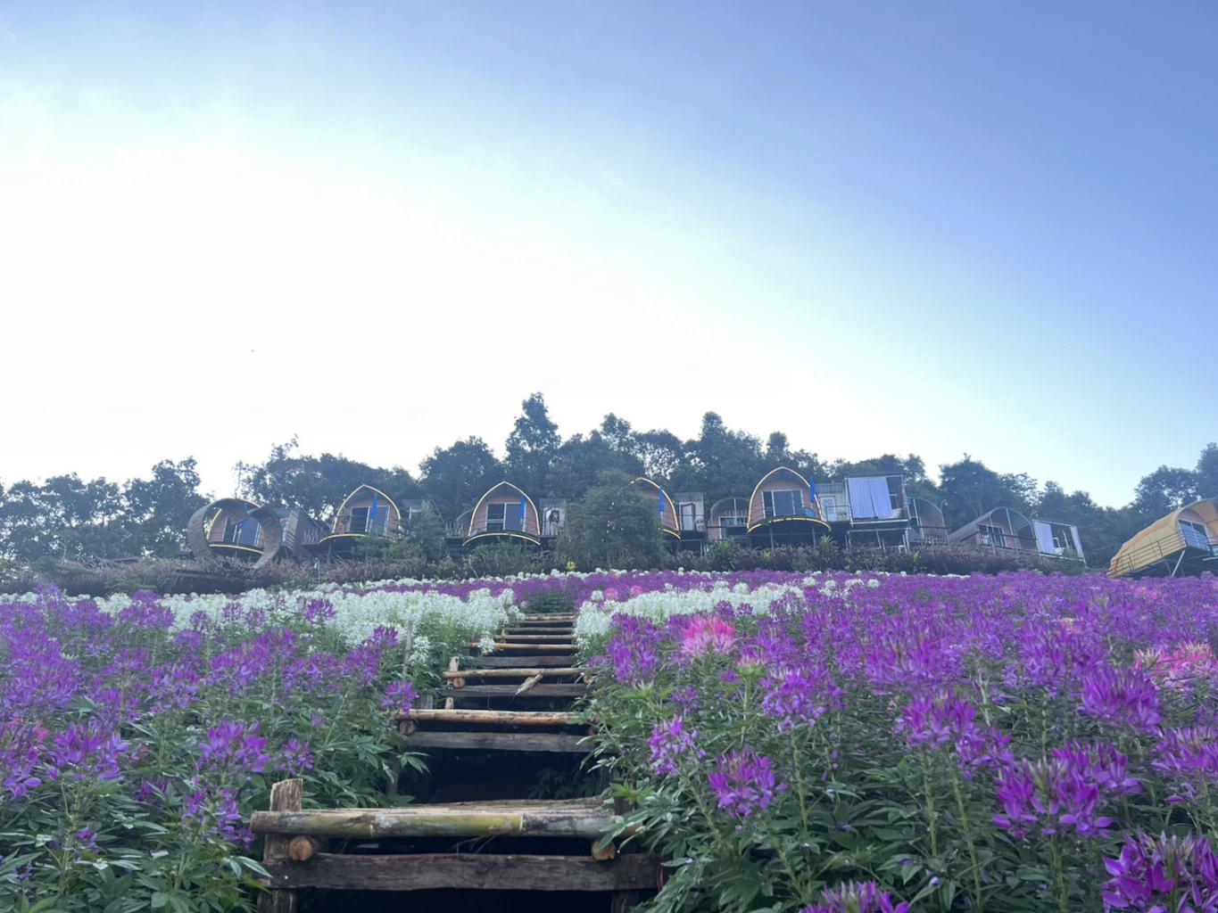 ปักหมุดรับลมหนาว “บ้านบวกจั่น” ท่องเที่ยวตามศาสตร์พระราชา