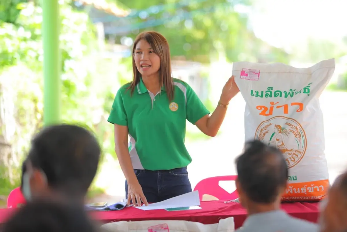 กรมการข้าว ชวนเกษตรกรร่วมโครงการเปลี่ยนเมล็ดพันธุ์คุณภาพดี
