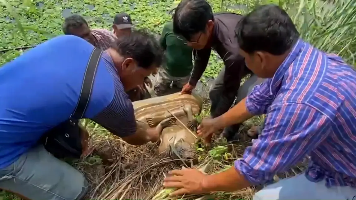หนุ่มใหญ่ ลงงมหอยสะดุด คิดว่าเป็นขอนไม้ สุดท้ายเจอพระพุทธรูปองค์ใหญ่