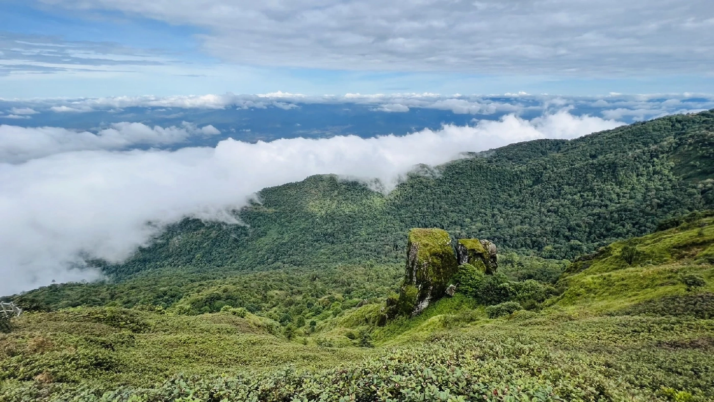พร้อมรับลมหนาว "ดอยอินทนนท์" เตรียมเปิด "กิ่วแม่ปาน" 1 พ.ย.นี้
