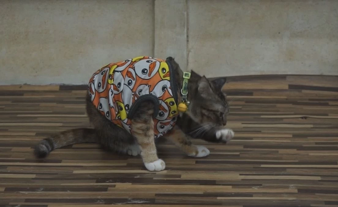 น้องถุงเงิน