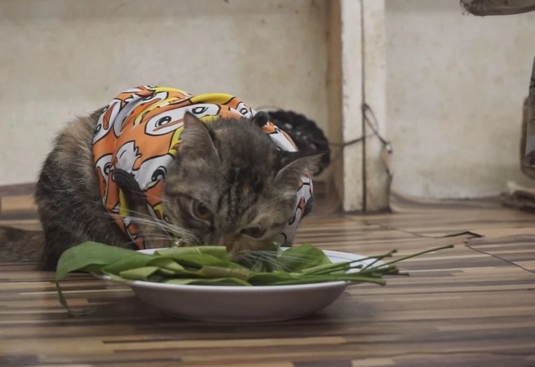 น้องถุงเงิน