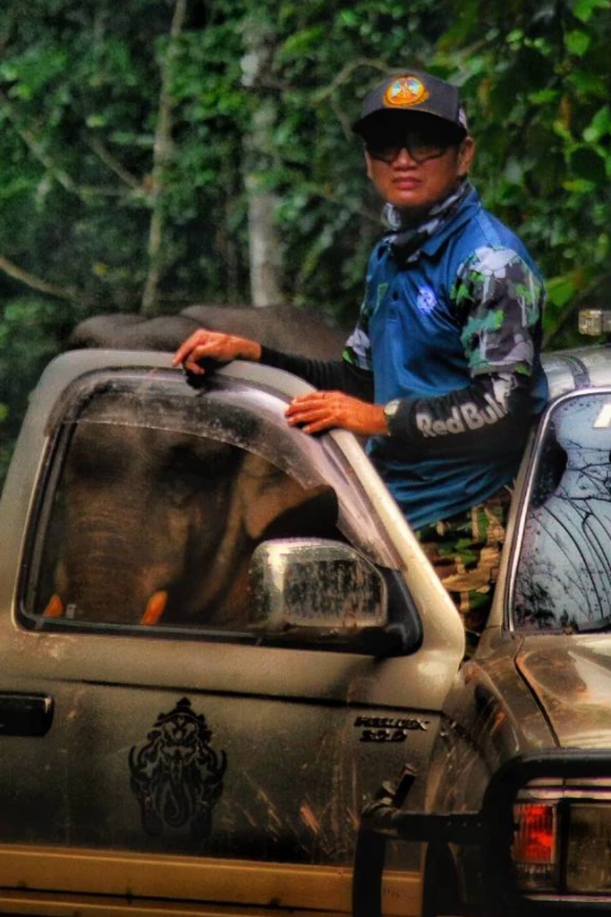 ข่าวดี! อช.เขาใหญ่ จ้าง "พี่สุทธิพร" มือปราบช้างป่า ทำงานต่อหลังเกษียณ