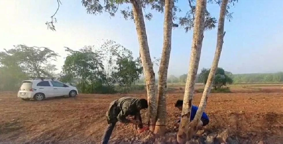 ย้อนรอย "ลุงพล"แพ้มาแล้ว 3 คดี ก่อนศาลนัดชี้ชะตา"คดีน้องชมพู่" 31 ต.ค.นี้