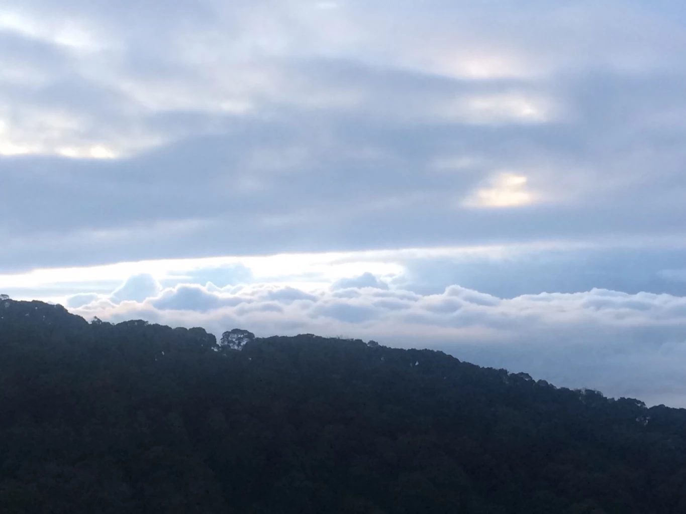 พร้อมรับลมหนาว "ดอยอินทนนท์" เตรียมเปิด "กิ่วแม่ปาน" 1 พ.ย.นี้