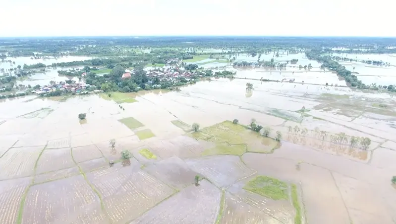 ยโสธรประกาศเป็น "พื้นที่ประสบภัยสาธารณะ" พื้นที่เกษตรจมน้ำแล้ว 1.3 แสนไร่