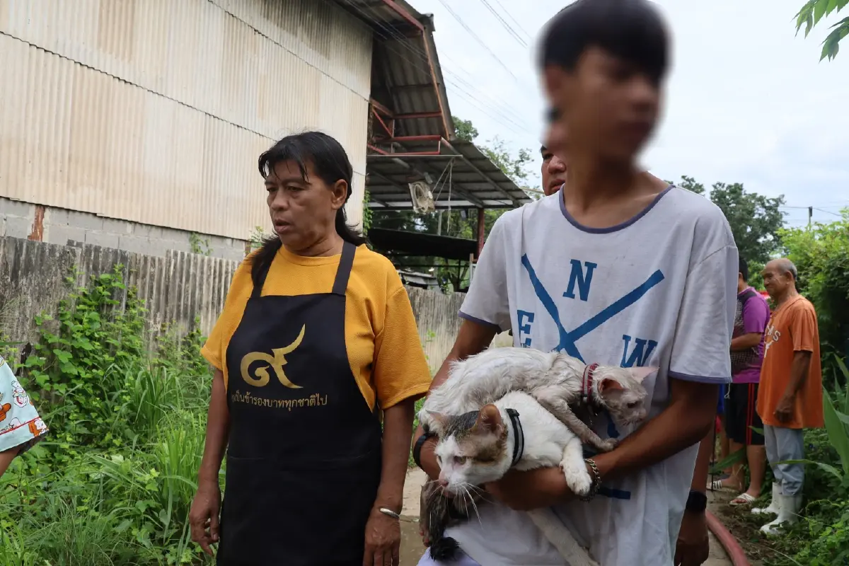 ไฟไหม้บ้านวอด! พี่ชายพาน้อง 5 ขวบ วิ่งหนี ร้องไห้กอดแมวแน่น จนท.ช่วยได้ 3 ตัว