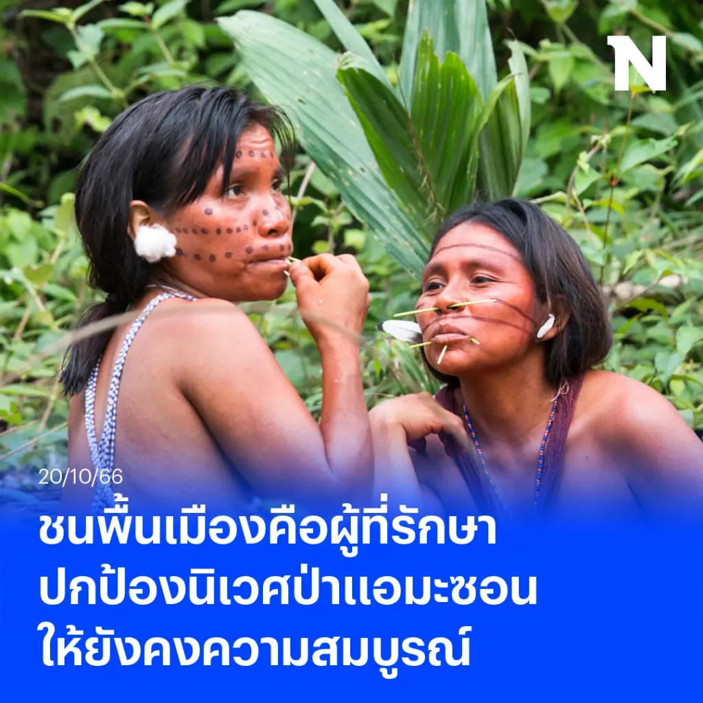 ชนพื้นเมืองคือหัวใจในการรักษาป่าไม้ให้สมบูรณ์ เป็นปอดฟอกคาร์บอนให้โลก