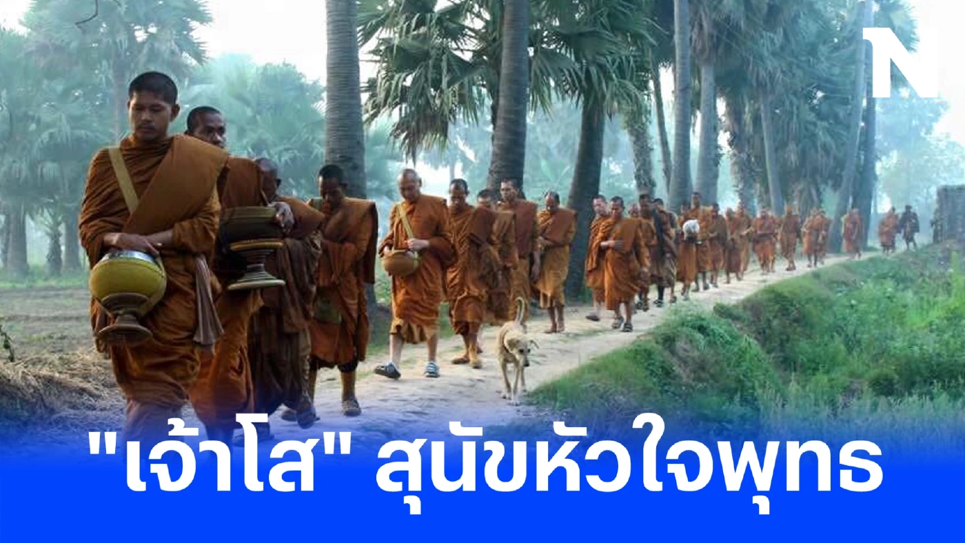 สุดเศร้า "เจ้าโส" สุนัขหัวใจพุทธ ลาลับกลับสู่ดาวหมา ในวัยเพียง 10 ปีเศษ