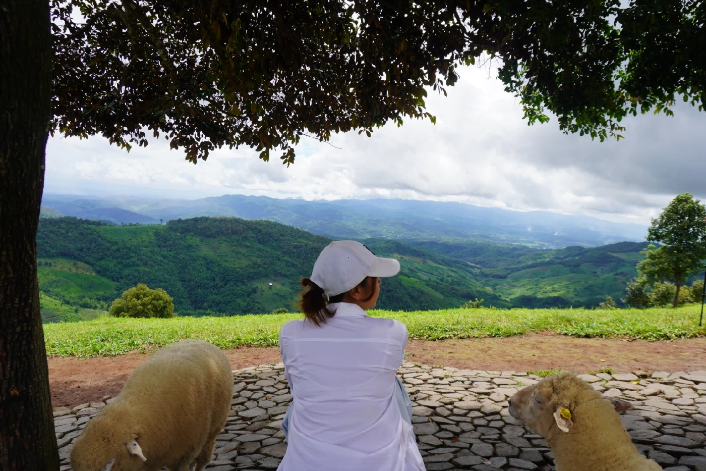 ปลายฝนต้นหนาวชวนเที่ยว "เชียงราย" มาตามนี้มุมถ่ายรูปเพียบ