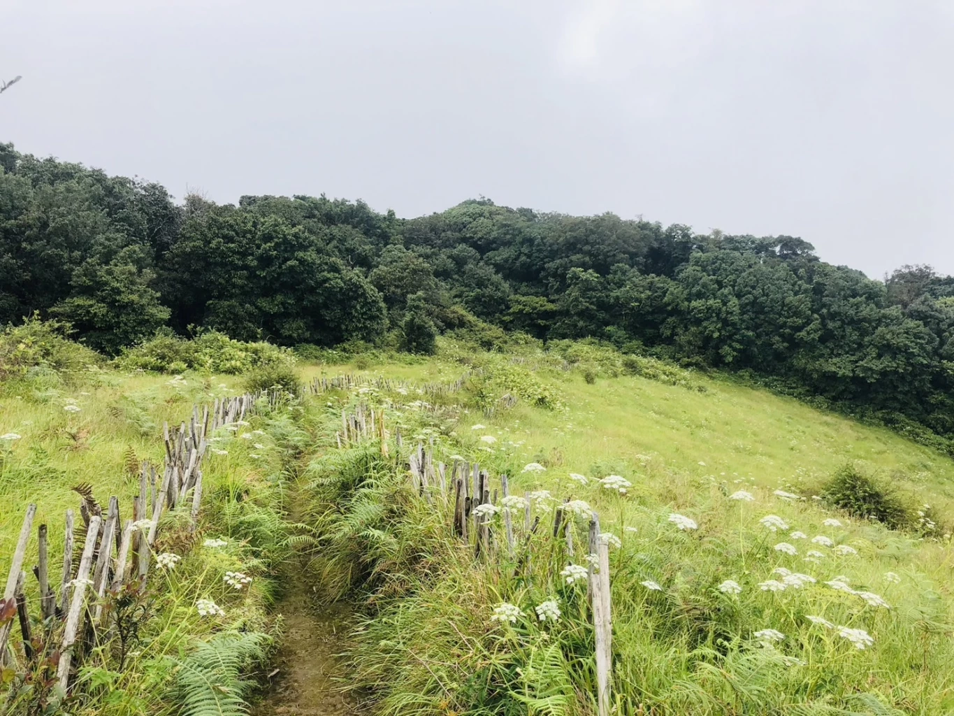 พร้อมรับลมหนาว "ดอยอินทนนท์" เตรียมเปิด "กิ่วแม่ปาน" 1 พ.ย.นี้