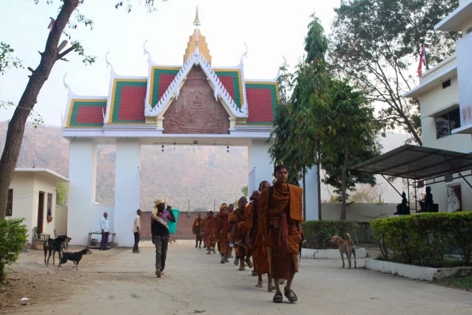 สุดเศร้า "เจ้าโส" สุนัขหัวใจพุทธ ลาลับกลับสู่ดาวหมา ในวัยเพียง 10 ปีเศษ