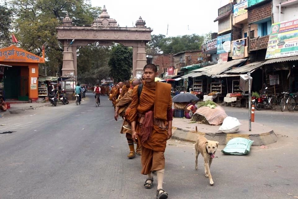สุดเศร้า "เจ้าโส" สุนัขหัวใจพุทธ ลาลับกลับสู่ดาวหมา ในวัยเพียง 10 ปีเศษ