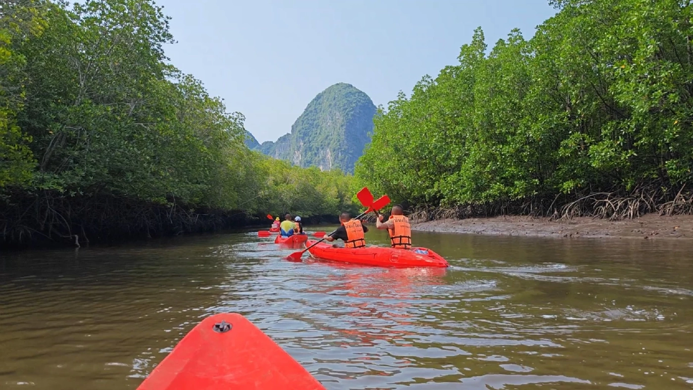 เที่ยวเชิงอนุรักษ์ "พายเรือคายัค" ชมป่าโกงกาง คิกออฟรับไฮซีซั่นตรัง