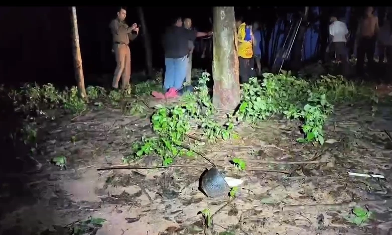 สลด! ช้างป่าทำร้ายสาวใหญ่ ขณะออกไปกรีดยางจนเสียชีวิต