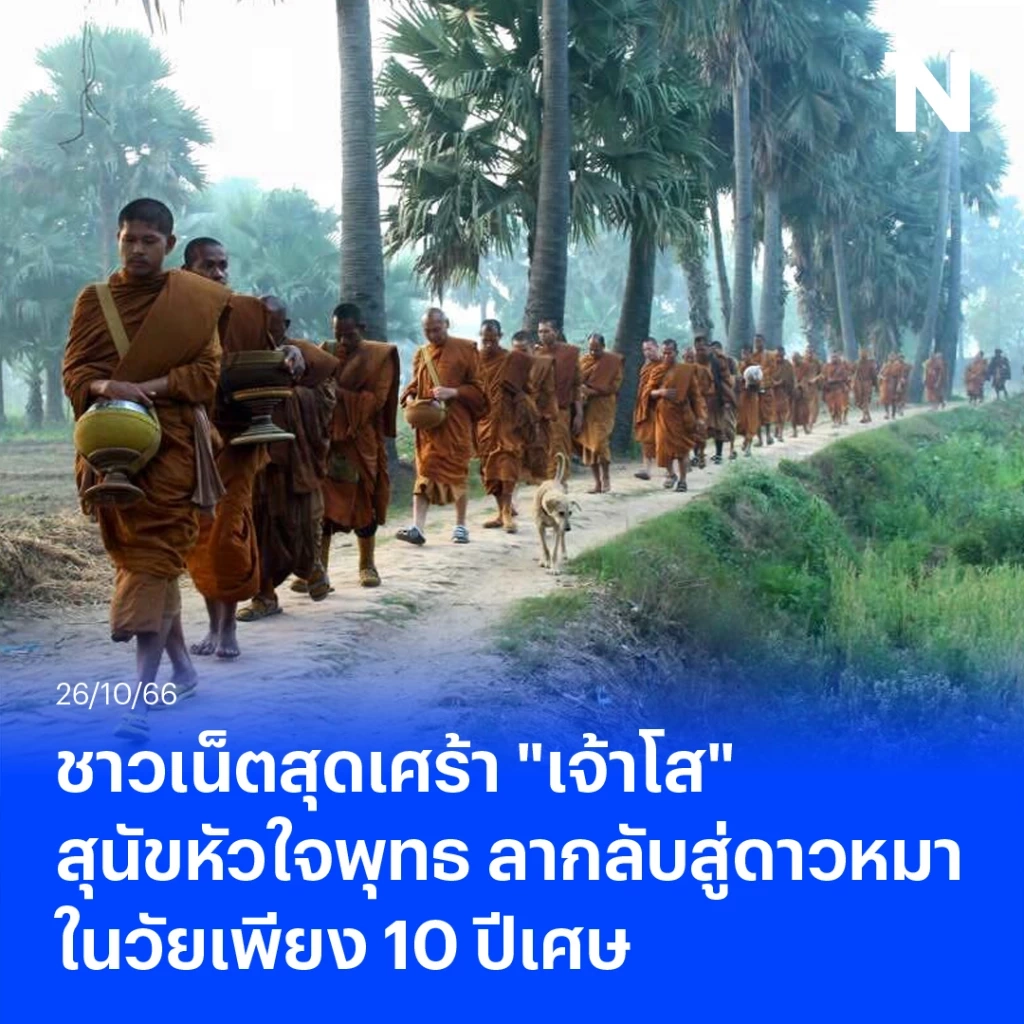 สุดเศร้า "เจ้าโส" สุนัขหัวใจพุทธ ลาลับกลับสู่ดาวหมา ในวัยเพียง 10 ปีเศษ