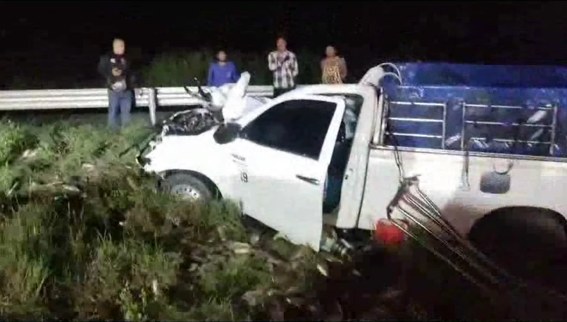 กระบะขนปลานิล ขับฝ่าความมืดพุ่งชนช้างป่า คนเจ็บ 3 ช้างเจ็บ-เตลิดหนี