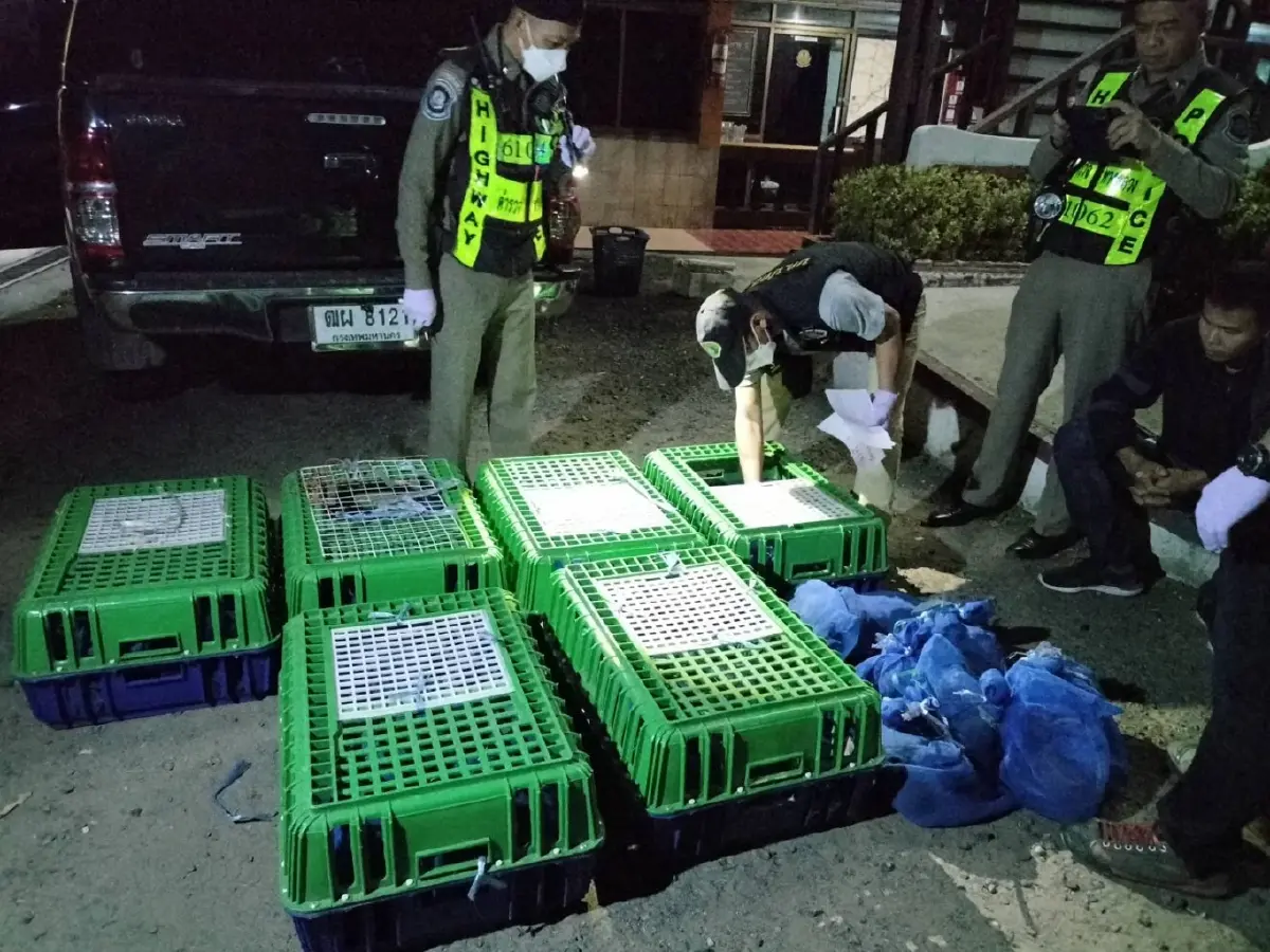 ตร.รวบหัวโจกขบวนการขนลิงแสมข้ามชาติ พบคดีติดตัวเพียบ