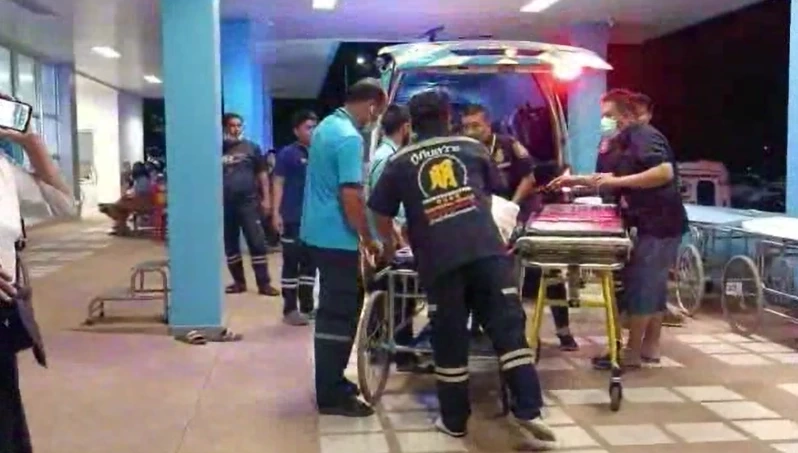 กระบะขนปลานิล ขับฝ่าความมืดพุ่งชนช้างป่า คนเจ็บ 3 ช้างเจ็บ-เตลิดหนี