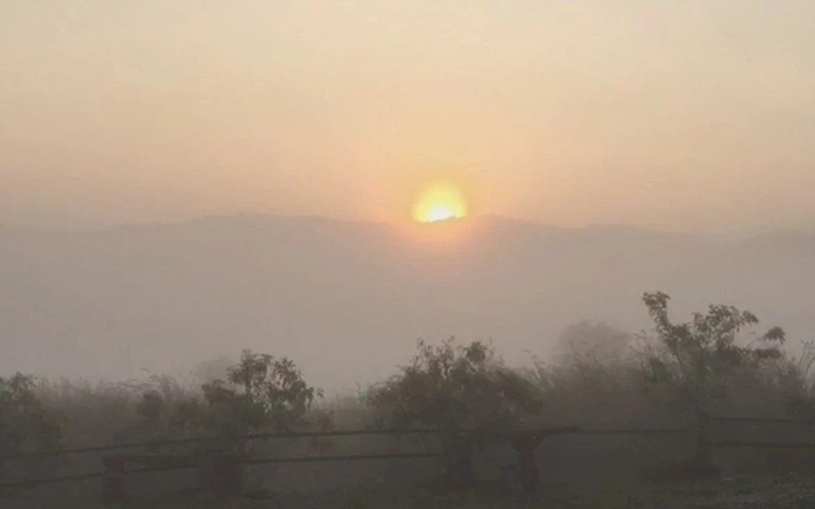 นทท.ขึ้นพิชิต "ภูสวนทราย" ชมทะเลหมอกยามเช้า สัมผัสอากาศเย็น ช่วงปลายฝนต้นหนาว