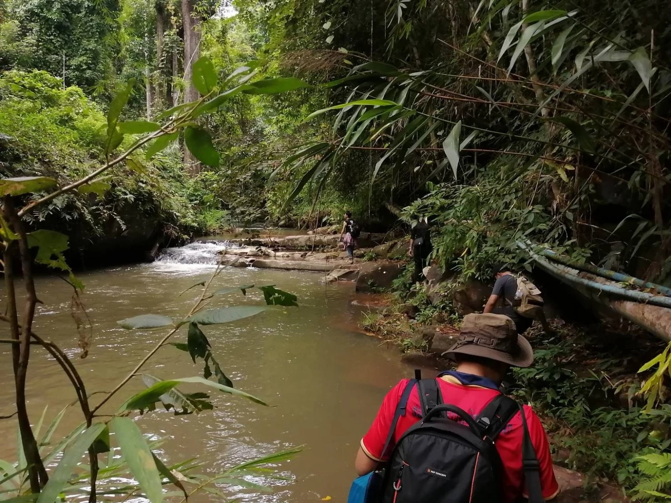 เที่ยวหน้าฝน ยลความงาม "น้ำตกตาดสูง" กลางป่าเขาบ้านน้ำกุ่ม จ.พิษณุโลก