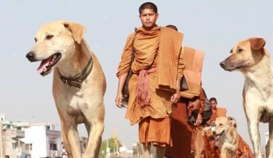 สุดเศร้า "เจ้าโส" สุนัขหัวใจพุทธ ลาลับกลับสู่ดาวหมา ในวัยเพียง 10 ปีเศษ