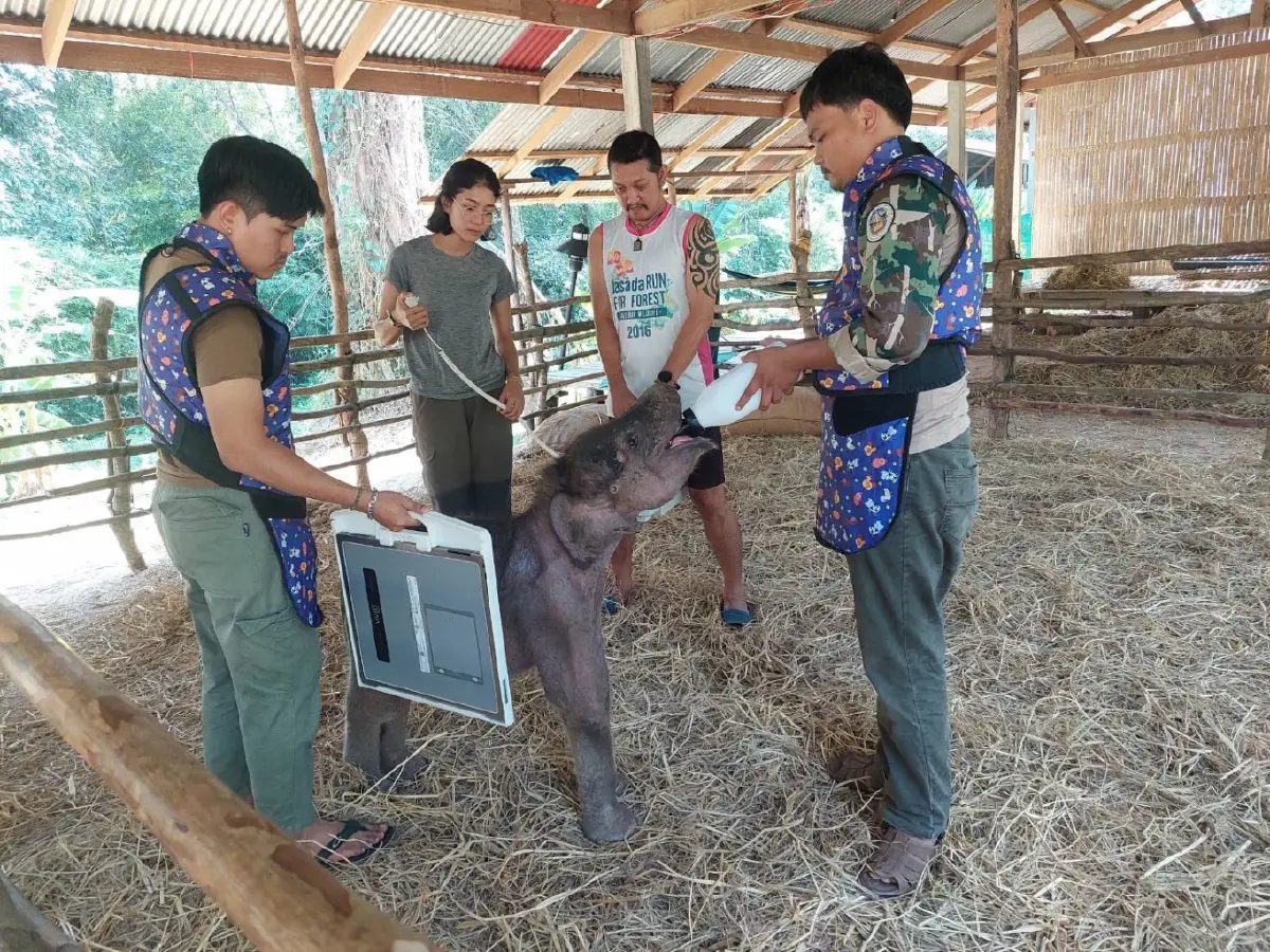 ภาพจากเฟซบุ๊กเพจ ประชาสัมพันธ์ กรมอุทยานแห่งชาติ สัตว์ป่า และพันธุ์พืช