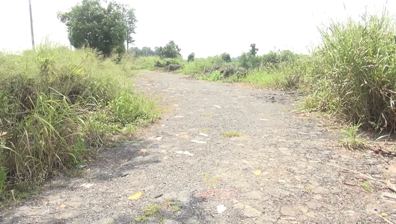 จุดที่พบลูกหมูถูกทิ้ง