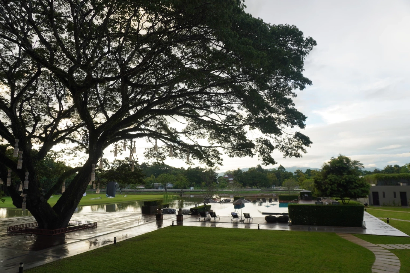 ปลายฝนต้นหนาวชวนเที่ยว "เชียงราย" มาตามนี้มุมถ่ายรูปเพียบ