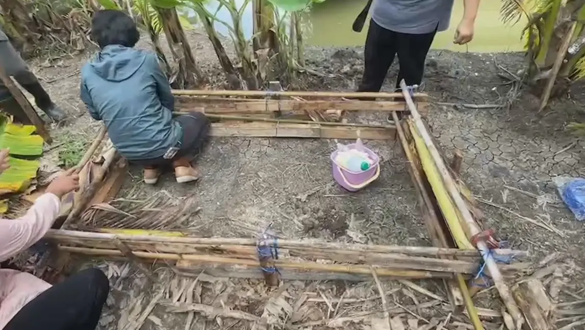 เกษตรนครปฐม ชวนทำกองล่อปราบด้วงแรดมะพร้าว ใช้วัสดุน้อย แถมทำง่าย