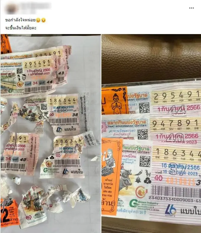 แทบร้องไห้! น้องหมากัดเละ ลอตเตอรี่ถูกรางวัล 5 ใบ ลุ้นขึ้นเงินได้หรือไม่?