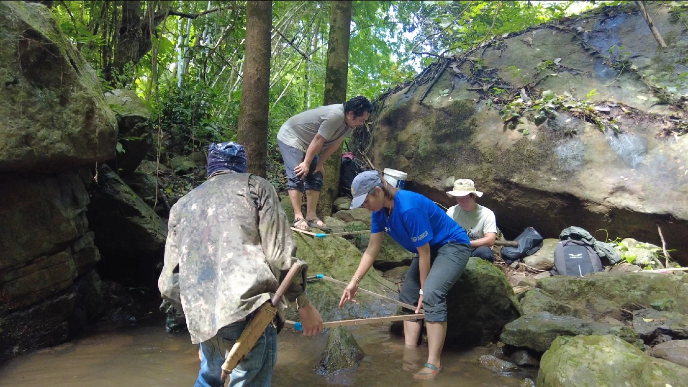 พบ "เต่าปูลู" สัตว์ป่าใกล้สูญพันธุ์ ที่จ.เชียงราย
