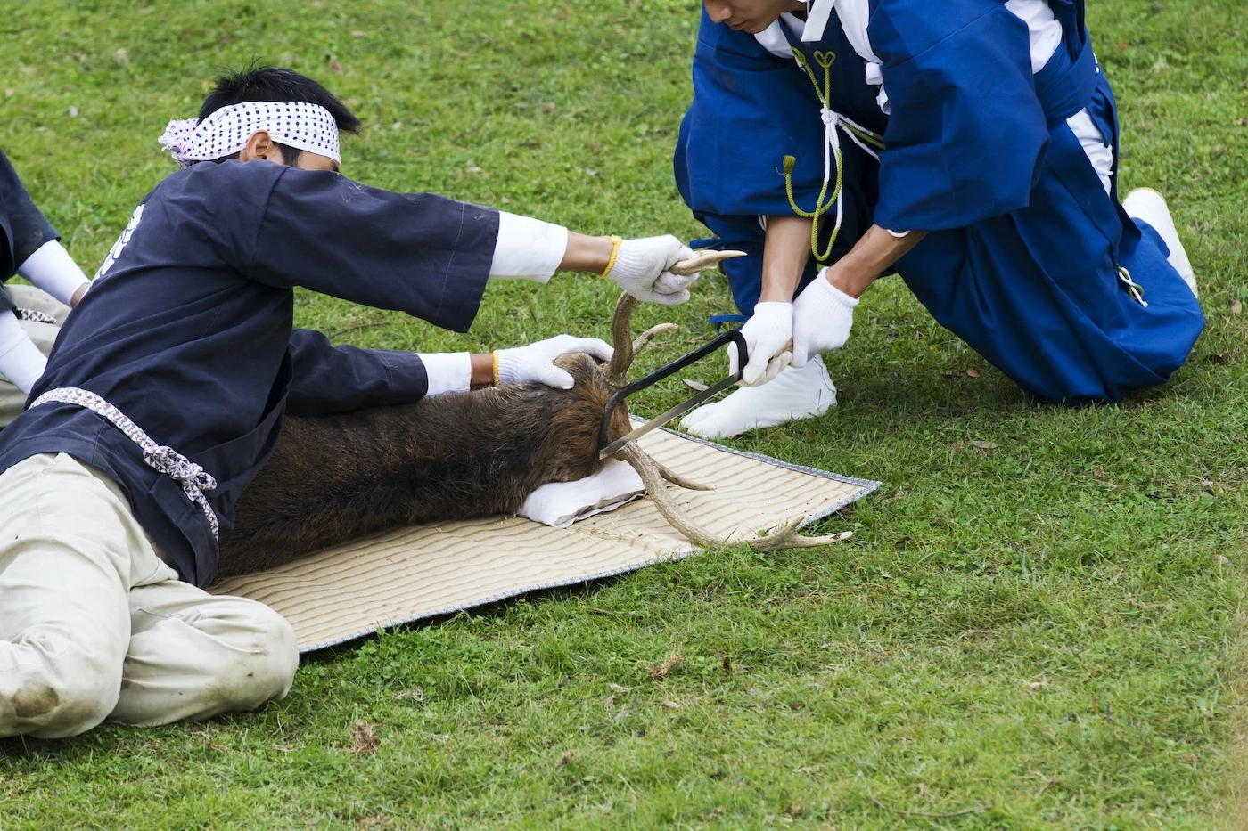 แฟ้มภาพ : Pixta/wifineko