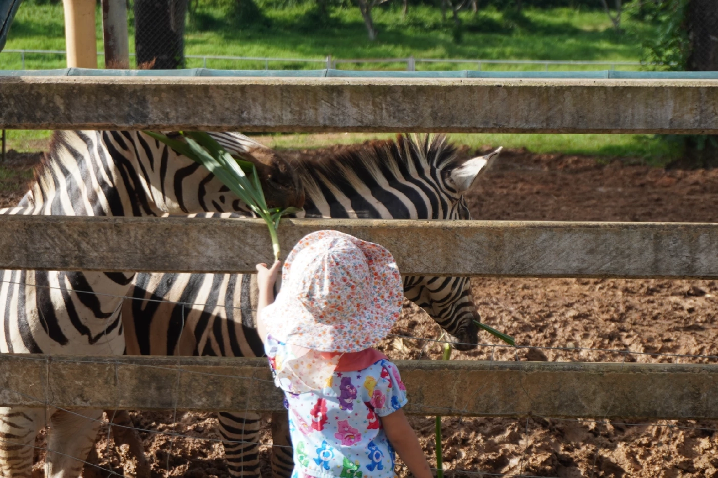 ปลายฝนต้นหนาวชวนเที่ยว "เชียงราย" มาตามนี้มุมถ่ายรูปเพียบ