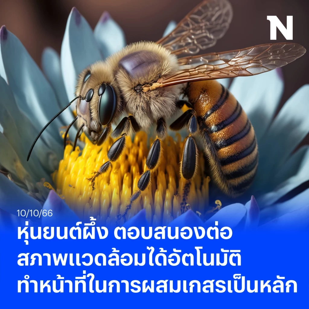 เปิดความเป็นไปได้ แนวคิดหุ่นยนต์ผสมเกสร เมื่อ"ผึ้ง" ถึงคราวใกล้สูญพันธุ์ 