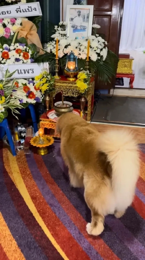 อุทยานน้ำตกเจ็ดสาวน้อย ชี้แจง จุด "น้องม่อน" จมน้ำดับ อยู่นอกเขตรับผิดชอบ