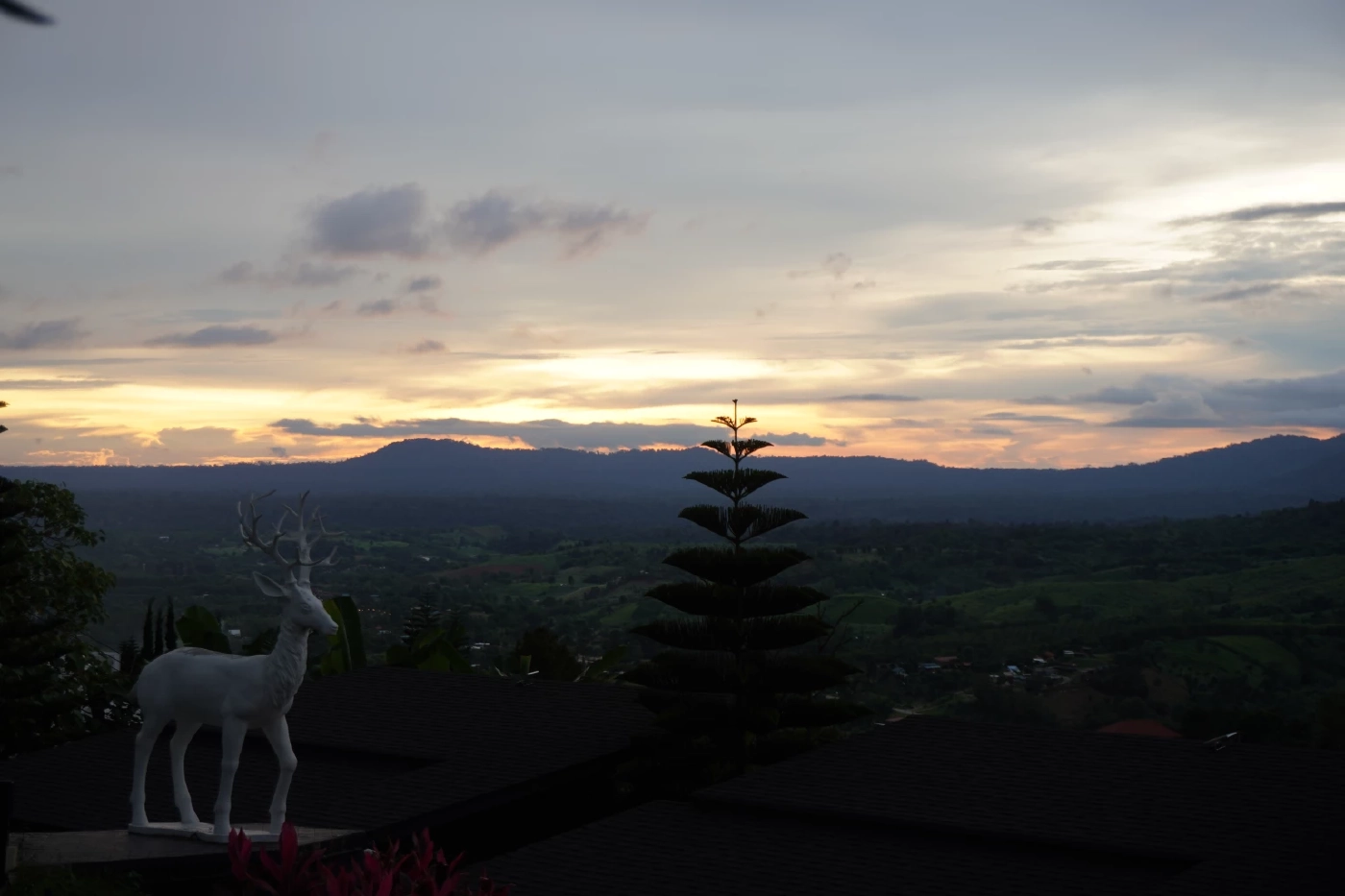 โอบกอดธรรมชาติที่ "เขาค้อ" ดินแดนทะเลหมอก 360 องศา