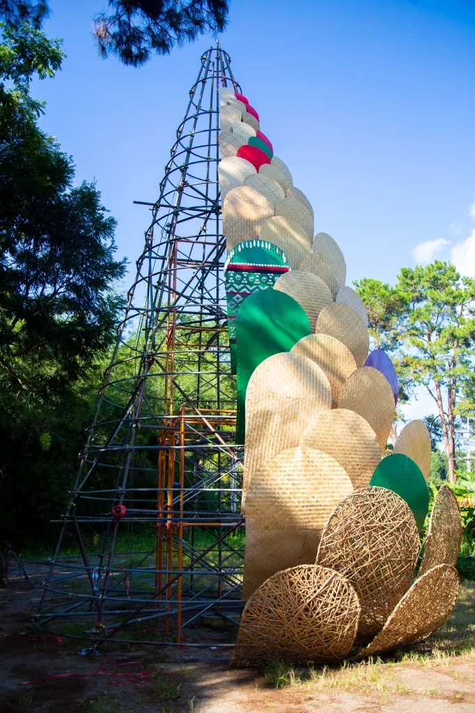 4 เรื่องมหัศจรรย์ของต้นคริสต์มาสหมอกพันวา ในเทศกาลสีสันกาสะลอง จ.เชียงราย