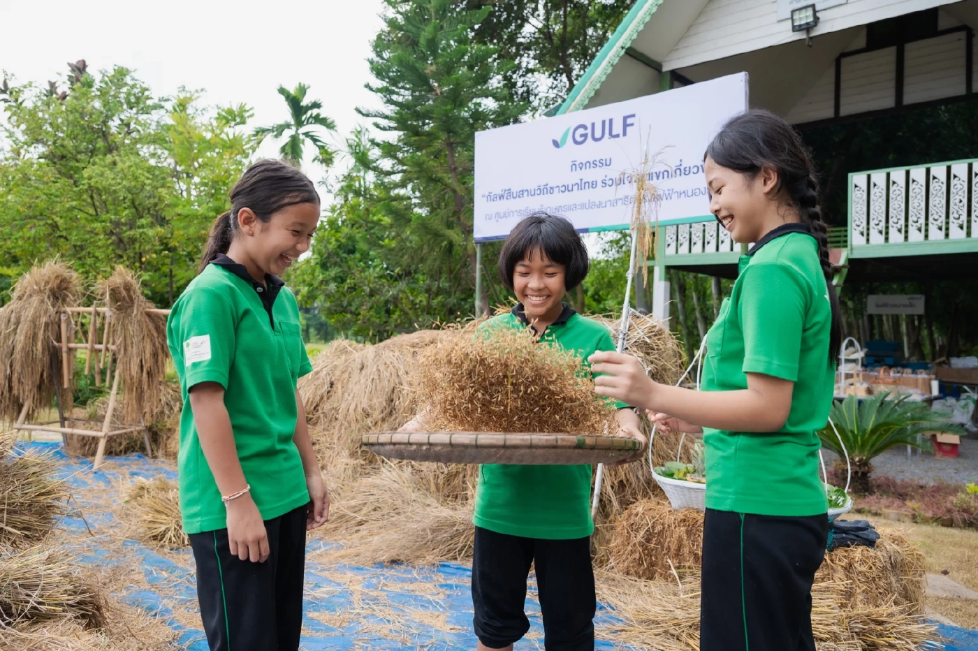 กัลฟ์ ชูศูนย์การเรียนรู้เกษตรและแปลงนาสาธิต โรงไฟฟ้าหนองแซง สู่ต้นแบบเศรษฐกิจหมุนเวียน พร้อมส่งเสริมวัฒนธรรมไทย “กัลฟ์สืบสานวิถีชาวนาไทย ร่วมใจลงแขกเกี่ยวข้าว”