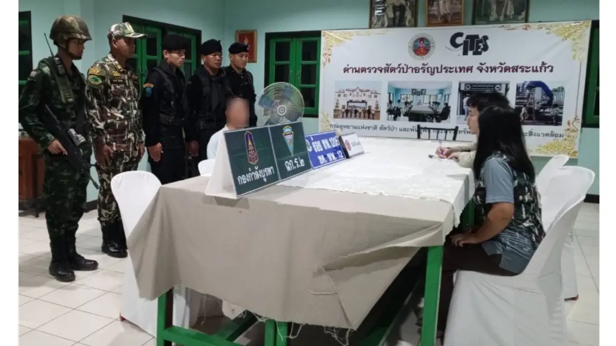 ทหารจับ ขบวนการลักลอบขน นกเป็ดน้ำ สัตว์ป่าคุ้มครองฯ ข้ามแดน 1,000 ตัว