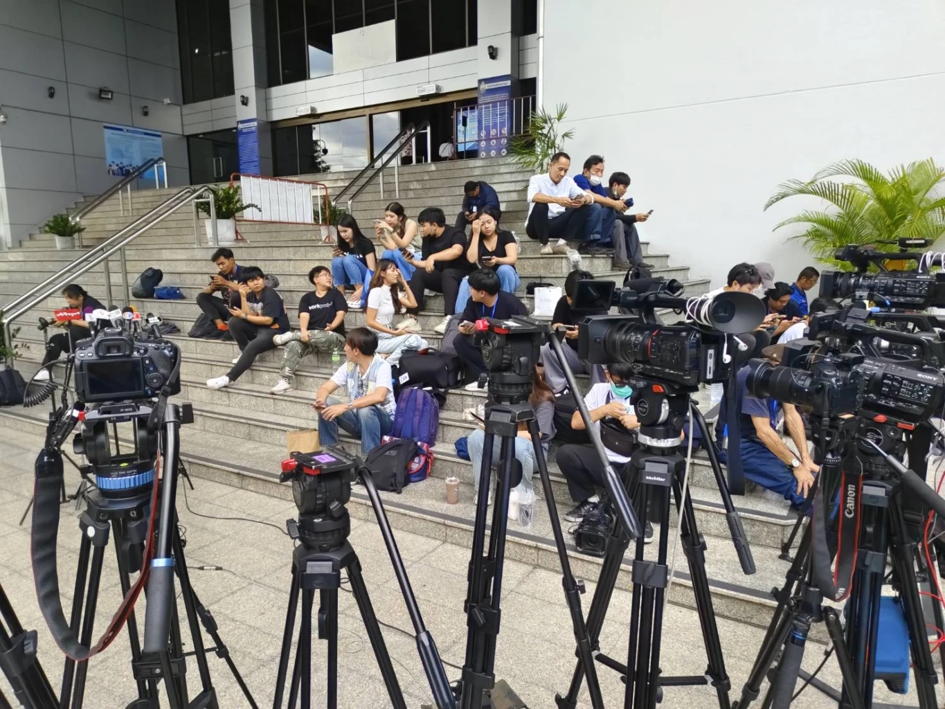 ด่วน! ศาลอนุญาตปล่อยชั่วคราว "ใบเตย สุธีวัน" ตีราคาประกัน 5 ล้าน